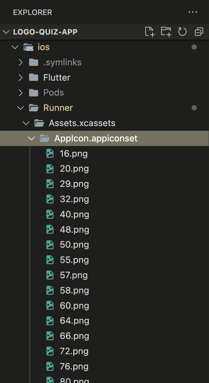 iOS app icon folder